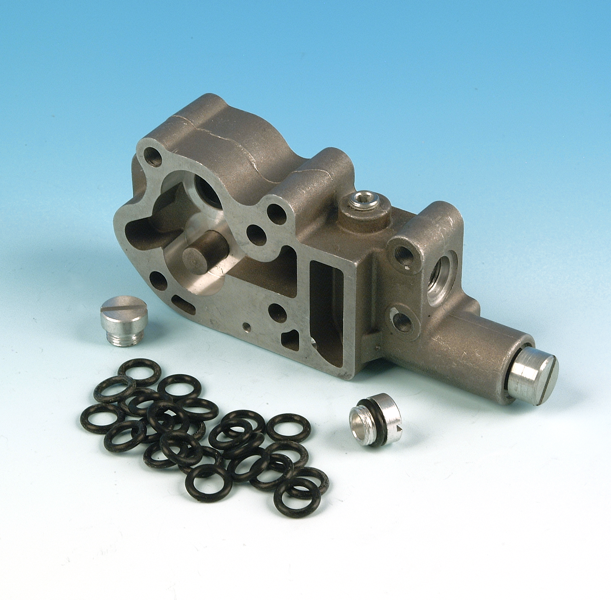 JGI-11105-X - O-RING,OILPUMP CAP/DRAIN PLUG – James Gaskets Inc.