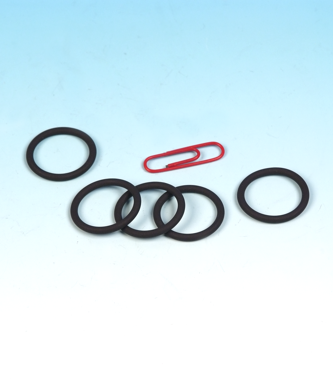 JGI-10969 - O-ring, Thermostat, XR1200