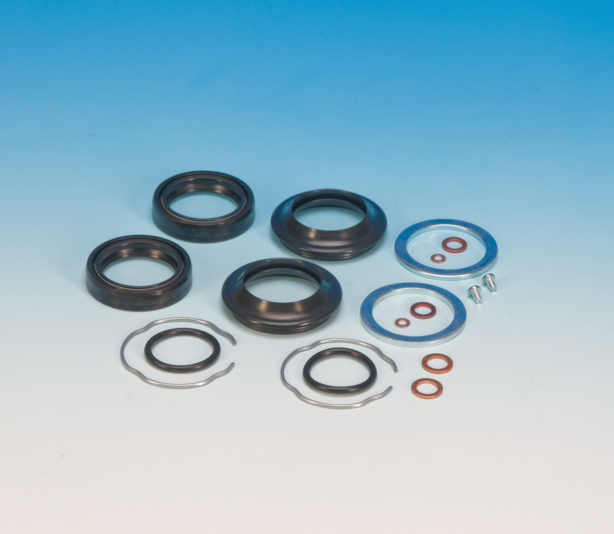 JGI-45849-96 - OIL SEAL KIT, FORK 1996-XL